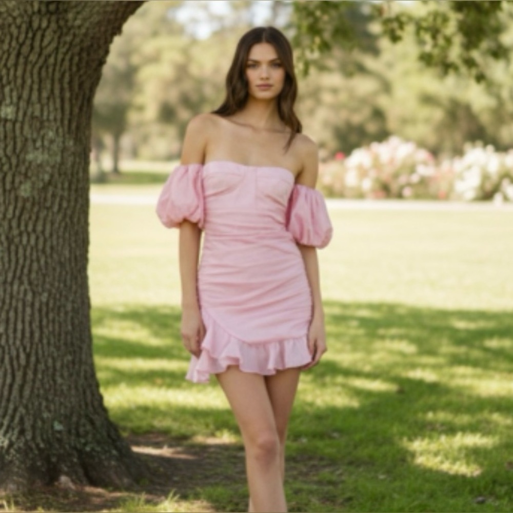Bardot Chiara Mini Bustier in Cameo Pink Dress Size 2